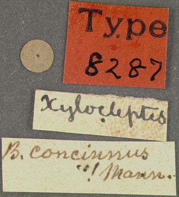 Media type: image;   Entomology 8287 Aspect: labels